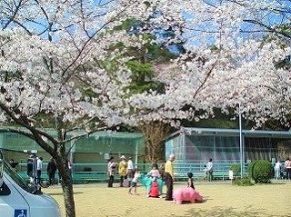 お花見ツアー